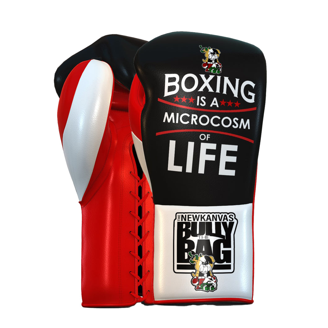 The New Kanvas Boxing is a Microcosm of Life Boxing Gloves