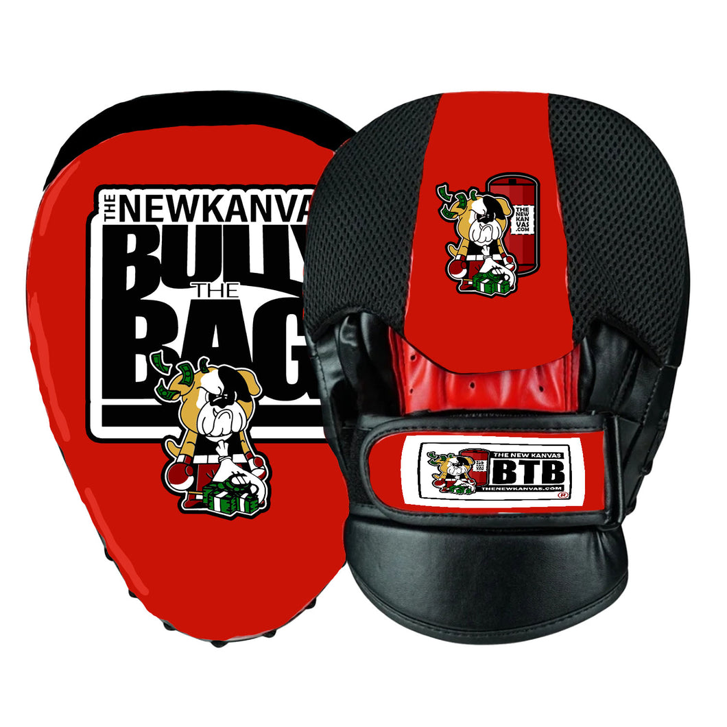 The New Kanvas BTB Focus Mitts 1